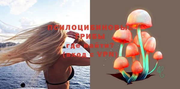 каннабис Белокуриха