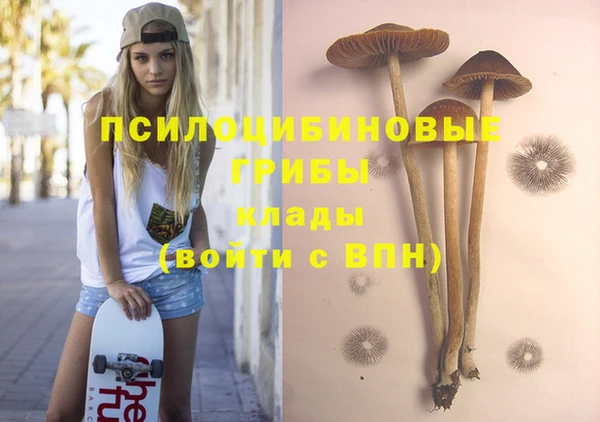 каннабис Белокуриха